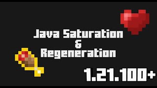 Raiyon's Java Saturation & Regeneration Addon | 1.21.100+