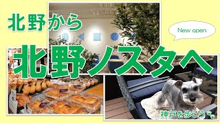 【神戸を歩こう🐾 もなのおさんぽ日記】(Sub) 11月にオープンした北野ノスタ、ノスタカフェに行ってみました、マリアージュ ドゥ ファリーヌ神戸北野ノスタ店、ワンちゃんとお洋服事情、