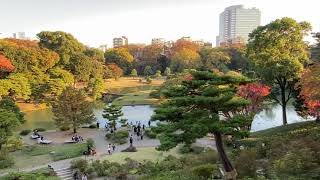 小石川後楽園の紅葉⑥ Tokyo Autumn Leaves Koishikawa Korakuen2021.12