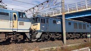 【貨物列車】R7.1.11   8865レ（稲沢→吹田タ）EF66ｰ128（サメ）＋ﾑﾄﾞEF64-1022    大垣駅の近く定刻通過！