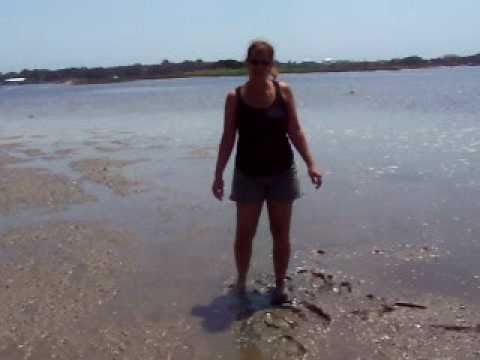 How to dig for clams How to dig for clams