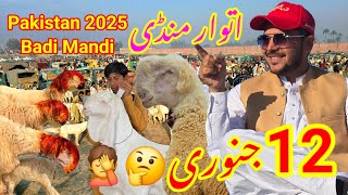 Pakistan 2025 Badi Mandi 11 January Hafte Mandi 🤦😭 Rul Gai Mandi