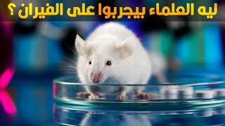 ليه العلماء بيستخدموا الفئران تحديدا في التجارب؟