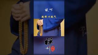 学会放下，心安才是归处！#禅悟人生 #修心修行 #感恩所有的相遇 #buddhism #shorts