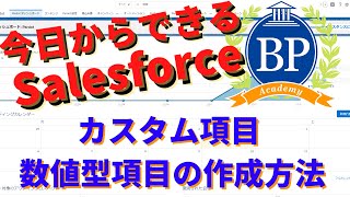 【今日からできるSalesforce】Salesforceカスタム項目 数値型カスタム項目の作成方法