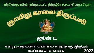 கிறிஸ்துவின் திருவுடல், திருஇரத்தம் பெருவிழா திருப்பலி | நேரலை | தஸ்நேவிஸ் மாதா ஆலயம் | 11-06-2023