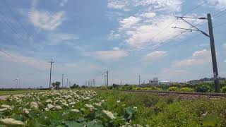 109次EMU300型自強號高速通過通霄五南里蓮花池