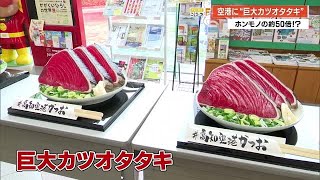 「おおきくて おいしそう」巨大《カツオのタタキ》が高知龍馬空港に登場【高知】 (24/04/26 18:48)