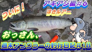 【週末アングラーの釣行日記】、おっさんの釣行日記№18【アキアジ編№6】ついに待望の初物釣れました！