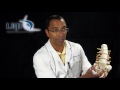 michigan city spine surgeon anton thompkins explains lumbar disc replacement