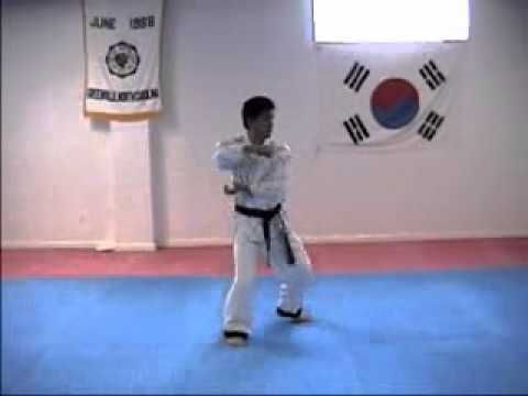 King Tiger Tae Kwon Do Yellow Belt Poomsae - YouTube