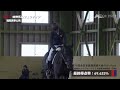 第9競技 セントジョージクラス（決勝）5位〜1位【第76回全日本馬場馬術大会2024 partⅠ】