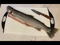 Lake Sammamish Cutthroat Trout Dock Fishing