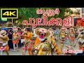 പുലിക്കളി , തൃശ്ശൂർ (01-09-2023) | PULIKKALI , THRISSUR | TIGER DANCE | FOLK ART | ONAM |  4K VIDEO