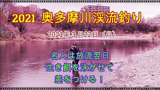 奥多摩川渓流釣り2021ー放流翌日は生き餌の泳がせ釣りが面白い！ー