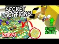 Secret Locations You NEVER SAW In Bee Swarm Simulator...