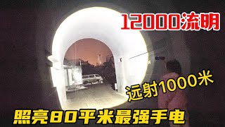 据说开灯整个村子都能亮！600元买个手电筒，亮度达12000流明照亮80平米【开箱组长】