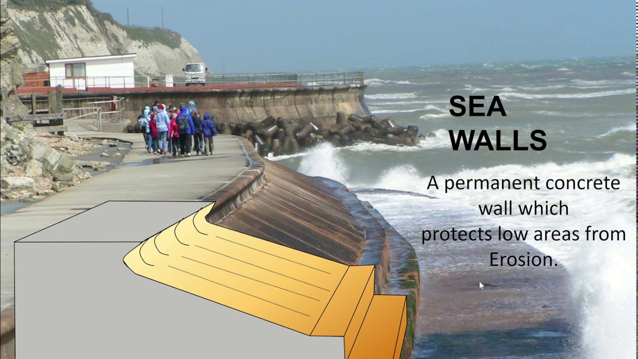 Coastal Management Youtube