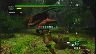 [Wii] MHG - Video Blog - Elder Quest#26 [1/4]