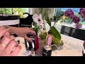 sephora grand opening sephora shopping haul sephora free goodies @farinafeesvblog2408