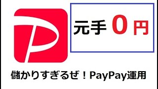 【PayPay運用】儲かりすぎだろう！