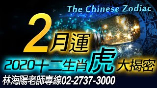 林海陽 2020生肖虎｜2月財運｜生肖運勢大揭密！20200203