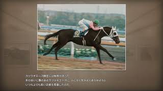 【Winning Post 10 2024】#25 1984年 11月4週目 ジャパンカップ 競馬ヒストリア シンボリルドルフ ミスターシービー カツラギエース #ウイニングポスト10