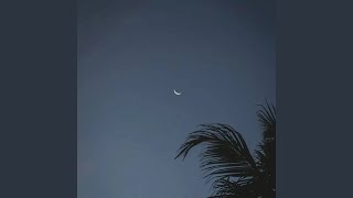 星空 (轻音乐)