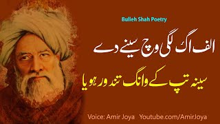 Baba Bulleh Shah Poetry | ਬਾਬਾ ਬੁੱਲੇ ਸ਼ਾਹ | Alif aag lagi wich seenay dy  | Best Punjabi Poetry