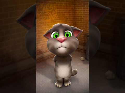 Video divertido del juego Talking Tom Cat #cat #tom4fun #talking #talkingtom #mytalkingtom #gaming