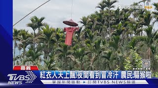 紅衣人天上飄!夜間看到冒冷汗 農民:驅猴啦｜TVBS新聞 @TVBSNEWS01