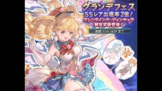 バレンタインスタレしてみた( ˙꒳​˙ )　【GRANBLUE FANTASY】