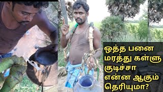 Palm Juice benefits/ ஒத்த பனை மரத்து கள்ளு குடிச்சா மருத்துவமனைக்கு போகவேண்டிய தேவை இல்லை.