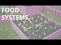 Healthy Urban Food Systems: Planning Production Facilities