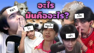 อะไร มันคือตัวอะไร EP.1 สัตว์ ผลไม้555+