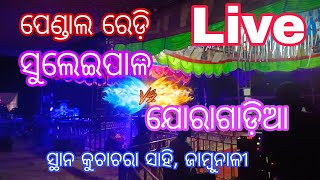 ପେଣ୍ଡାଲ ରେଡ଼ି /ସୁଲେଇପାଳ ଯୋରାଗାଡ଼ିଆ /ସ୍ଥାନ ଜାମ୍ବୁନାଳୀ