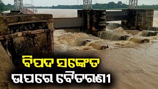 Bhadrak: River Baitarani Water Level Rises Above Danger Mark In Akhuapada || KalingaTV