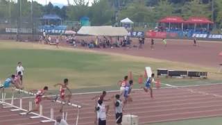 第66回 広島県高等学校対抗陸上競技選手権大会　男子110ｍＨ決勝