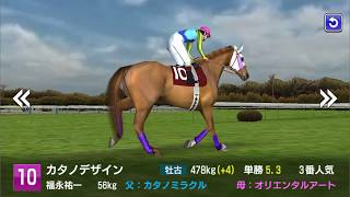 【スタポケ #15-4】天皇賞秋→チャレンジC→京都記念【スターホースポケット：競馬ゲーム】