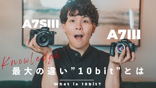 Sony α7IIIとα7S IIIの最大の違い！動画の「10bit」について解説します。