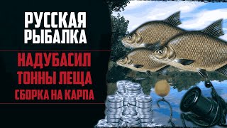 Новый Путь в РР4 #4 🔴 40 Ночей Фарма Леща | Первая Сборка На Карпа и Амура | Прокачка Карповой Ловли