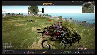 Succession Ninja vs Succession Ninja PVP I BDO I SEA