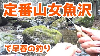 【フライフィッシング】定番山女魚沢で早春の渓流釣り