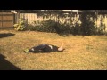 Falling Down - Lecrae (Music Video)