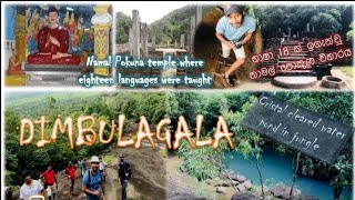 දිඹුලාගල කන්දේ සැගවුනු උරුමය #සෙල්ලිපි Dimbulagala Sri Lanka #visitsrilanka #travel #nature