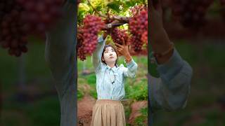 Beauty of fruits, #shorts #fruit #nature #beuty