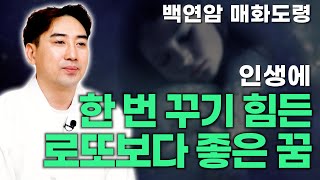 [대성TV📺] 이 꿈을 꿨다면 꼭 잡아야 하는 돼지꿈보다 더 대박인 꿈해몽[feat.인천 백연암 매화도령]