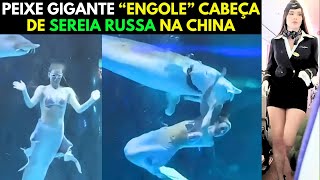 Incrível: Peixe Gigante 'Engole' Cabeça de Sereia em Vídeo Viral!