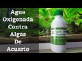 🔵 Agua Oxigenada Para El Acuario Para Eliminar Algas (Acuarios MB)