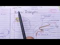 Uveitis /Iridocyclitis theory examination notes(( AK khurana))